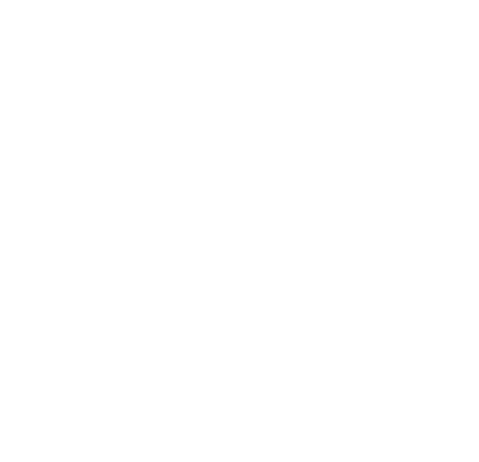 Sdvosb Inverted Transparent Logo